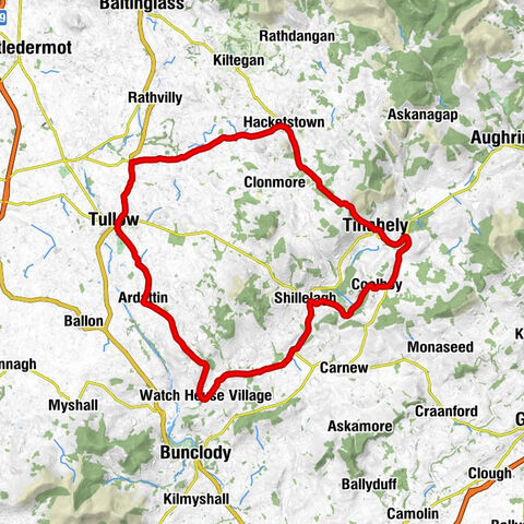 Tullow - Church of The Immaculate Conception - Saint Fiaac's - Hacketstown St John the Baptist