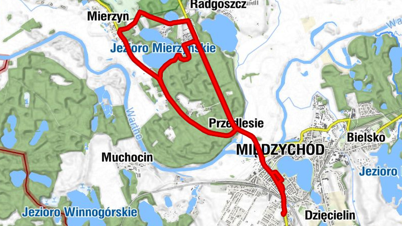 Mała Wielowieś - Kościół pw. Niepokalanego Serca Maryi - Międzychód - Przedlesie