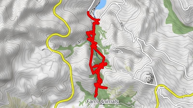 Wąwóz Patsos Φαράγγι Πατσού