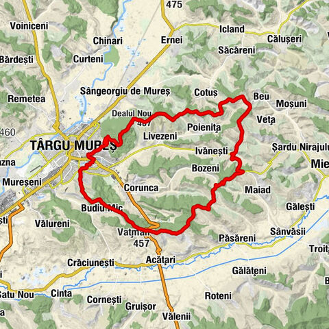 Târgu Mureș - Dealul Nou - Vf. Terebici - Vațman