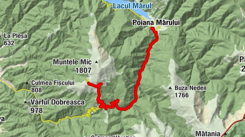 Poiana Mărului - Mina - Șaua Jigorea - Șaua Muntele Mic