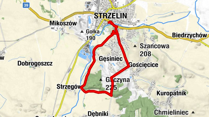Strzelin - Kościół Matki Chrystusa i św. Jana Apostoła i Ewangelisty - Gliczyny - Parkowa