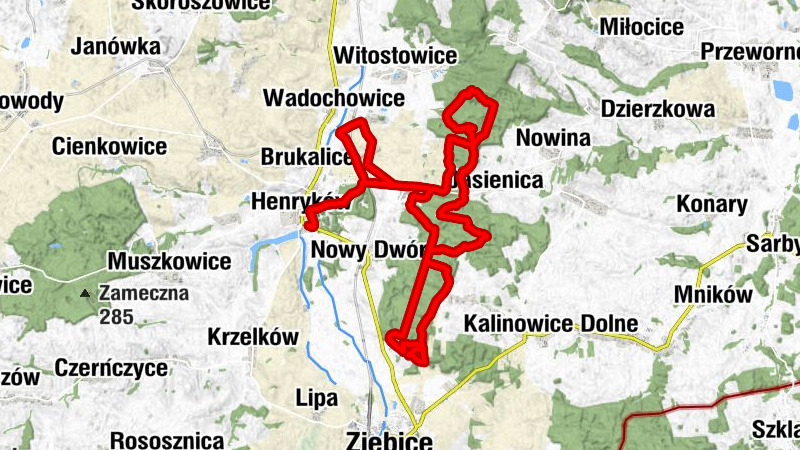 Henryków - Kalinowa Góra - Weselnik - Mlecznik