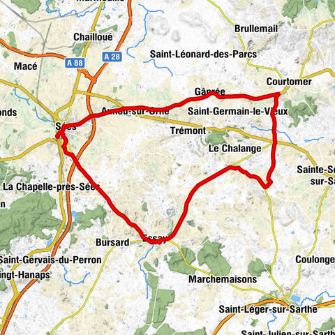 Sées - El Emport's - Église Saint-Pierre