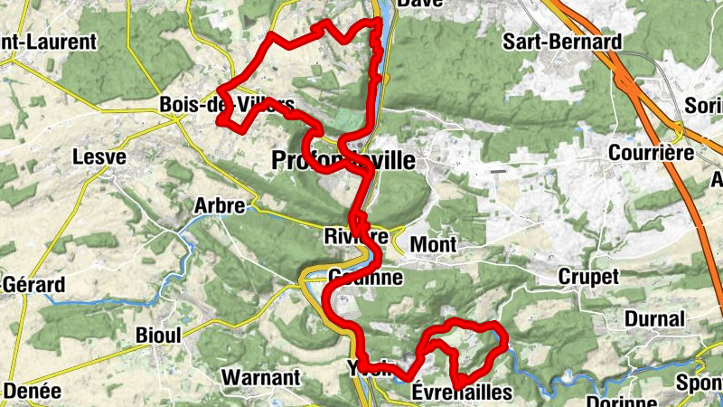 La Plaine - Notre Dame du Mont Carmel - Profondeville - Église Saint-Roch