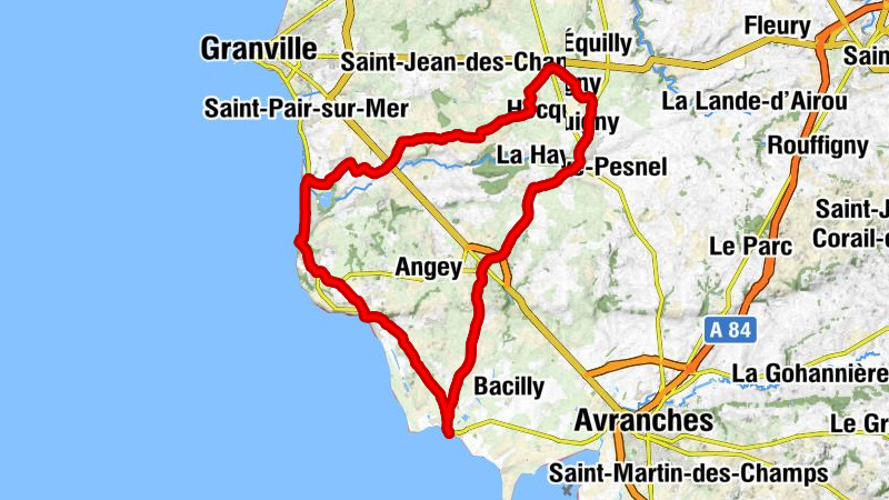 Folligny - Église Notre-Dame - Église Saint-Vigor