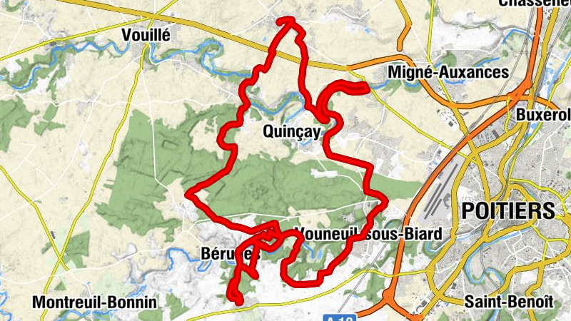 Les petits loups - Cissé - Béruges - Vouneuil-sous-Biard