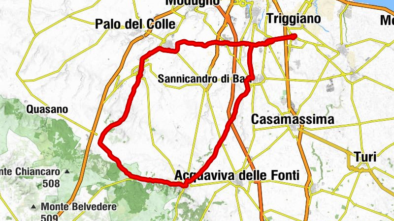 Triggiano - Chiesa matrice - Madonna di Mellitto - Capurso