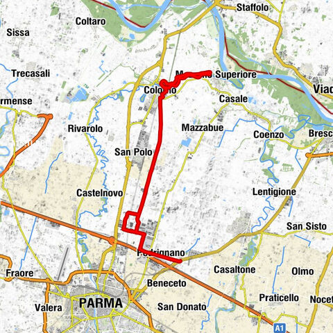 Chiozzola - "Gatto Nero" - Bogolese