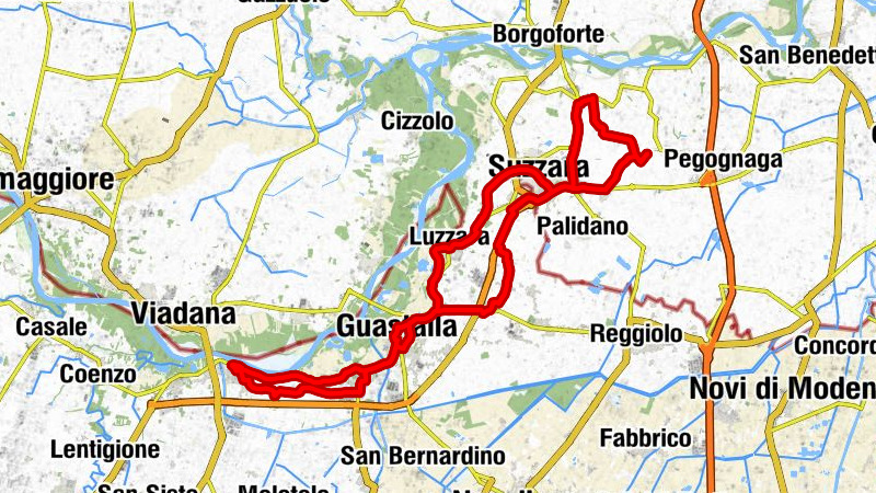 Suzzara - Beata Vergine della Porta - Duomo di Guastalla