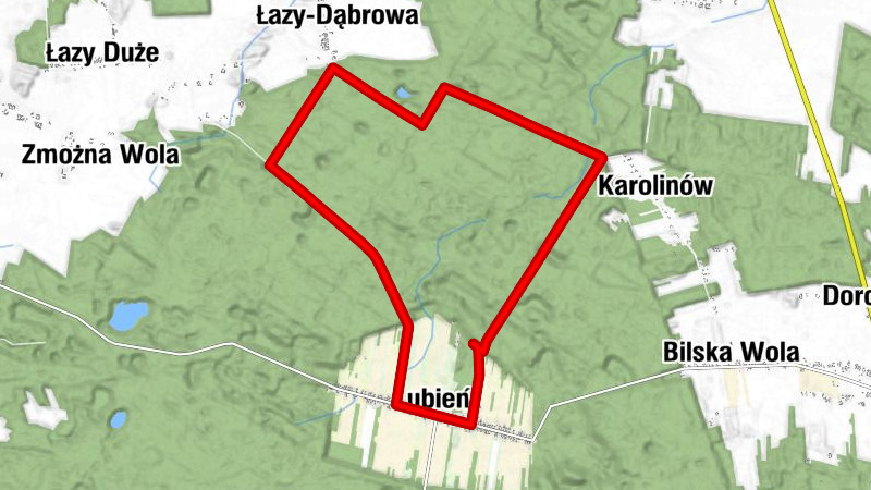 powiat piotrkowski - Łazy - Kościół pw. Matki Bożej Królowej Polski - Lubień
