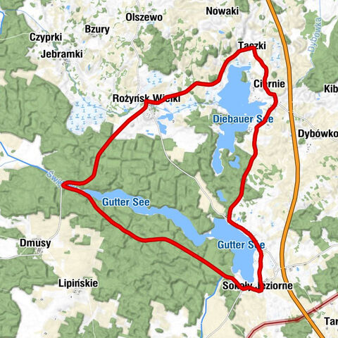 Ciernie - Taczki - Rożyńsk Wielki - Kościół pw. Świętego Szczepana