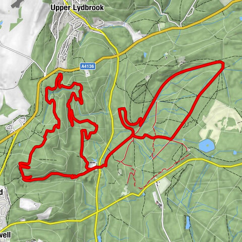 West Dean - Sallowvallets Inclosure - Wimberry Quarries