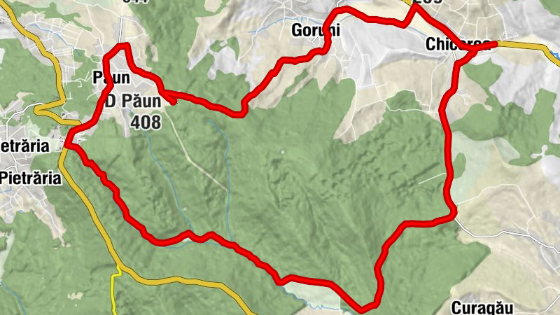 Chicerea - Păun - D Păun - Goruni