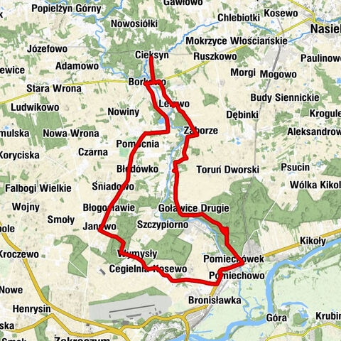 Cieksyn - Cieksynek - Borkowo - Figura Świętej Anny (patronka)