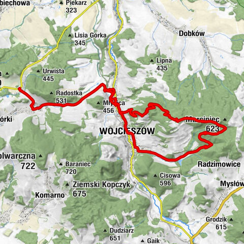 Radzyń - Rogacz - Dłużec - Trzciniec
