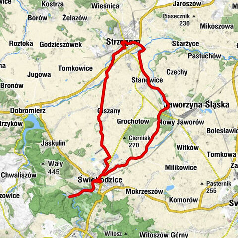 Pełcznica - Kościół pw. św. Franciszka z Asyżu - Kościół Najświętszego Zbawiciela Świata i Matki Boskiej Szkaplerznej z Góry Karmel - Kaplica św. Antoniego