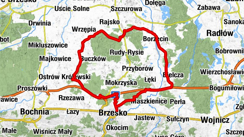 Brzesko - Kaplica domowa - Kościół św. Feliksa w Niedzieliskach - Kościół Matki Bożej Anielskiej w Bielczy