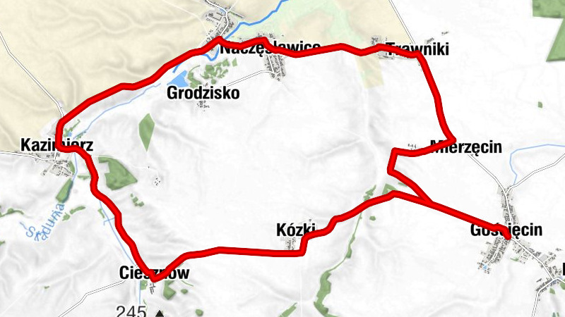 Gościęcin - Kościół pątniczy pw. św. Brykcjusza - Kózki - Kościół Matki Bożej Dobrej Rady