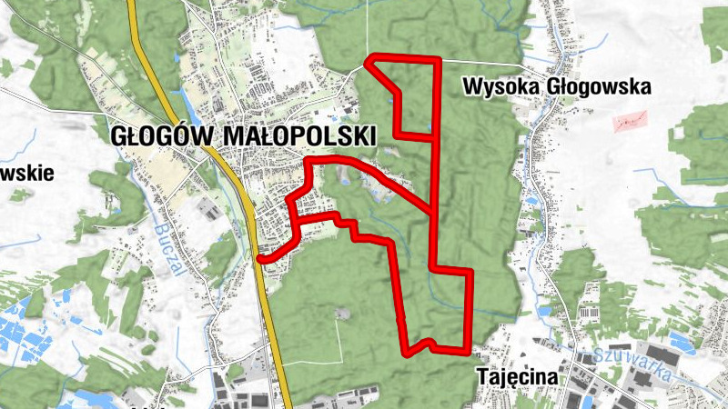 Głogów Małopolski - Osiedle Niwa - Borsuk