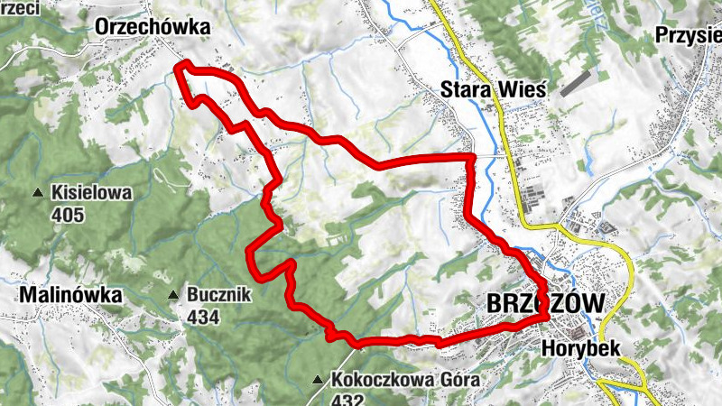 Brzozów - Kościół pw. Przemienienia Pańskiego - Kaplica domowa