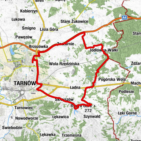 Zielone - Kościół pw. Świętego Stanisława Biskupa i Męczennika w Skrzyszowie - Kościół pw. Opatrzności Bożej - Tarnów