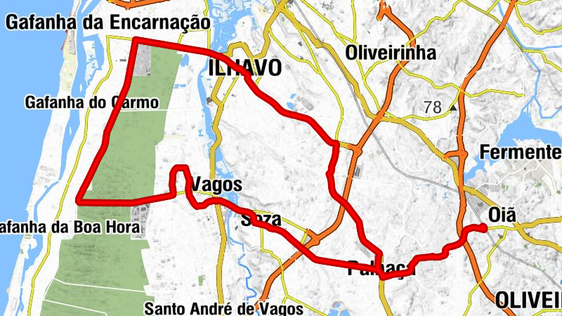 Oiã - Galo e Touro 2 - Igreja de Salgueiro