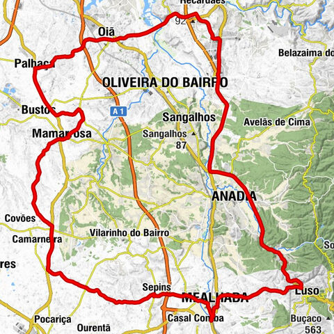 Troviscal - Igreja Matriz de Oiã - Igreja de Vila Nova - Igreja de São Pedro