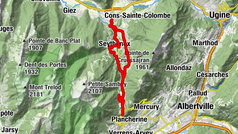 L'oreille d'ours - Lie Vain Lou - Église Saint-Pierre - Abbatiale Notre-Dame de Tamié