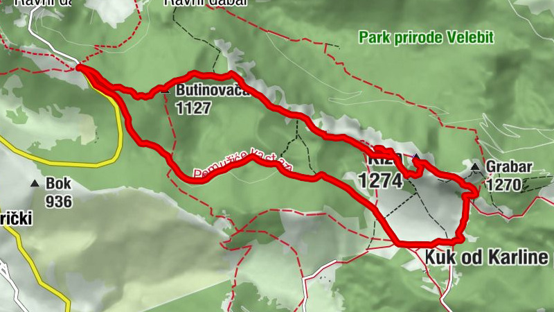 Dabarska kosa - Butinovača - Kiza - Kuk od pećica
