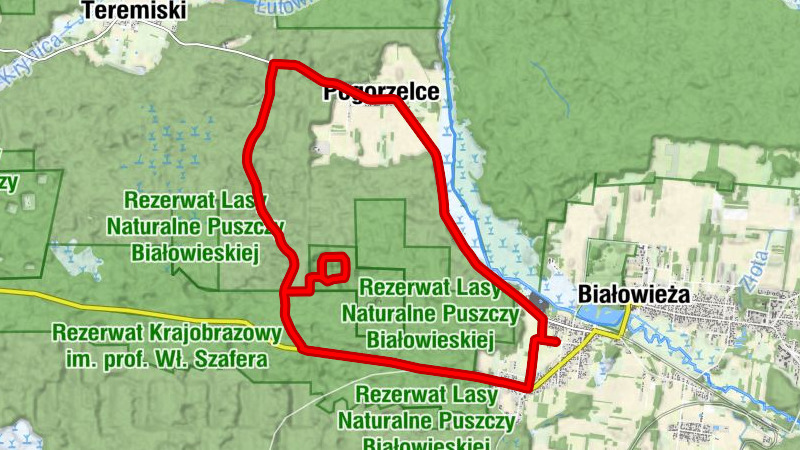 Pogorzelce - Krzyże - Białowieża