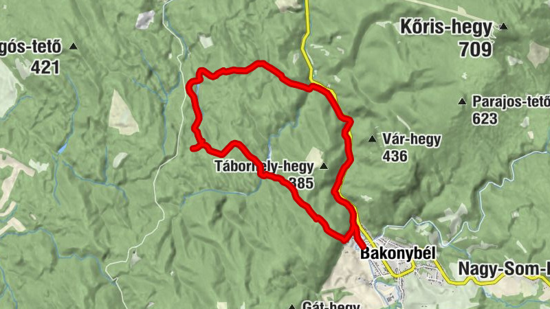 Bakonyvári Vadszőlő Szálló és Étterem - Szarvas-kút