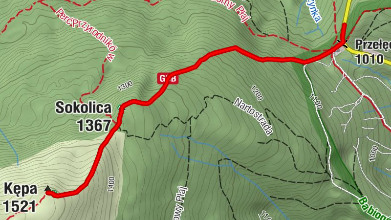 Przełęcz Krowiarki - Sokolica - Kępa