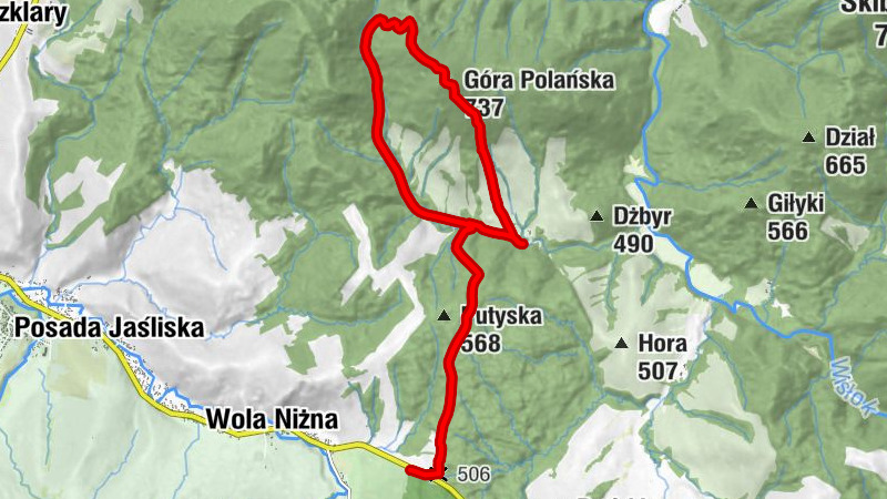 Polany Surowiczne - Góra Polańska