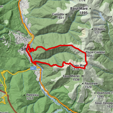 Sinaia - Piscul Câinelui - Mierlele
