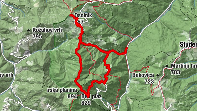 Medvode - Osolnik - Lom - Gontarska planina