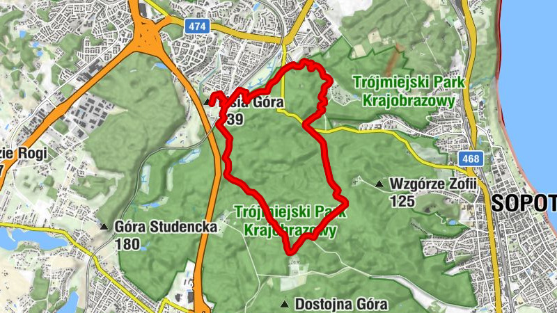 Lisia Góra - Wielka Gwiazda - Sopot - Gręzowo