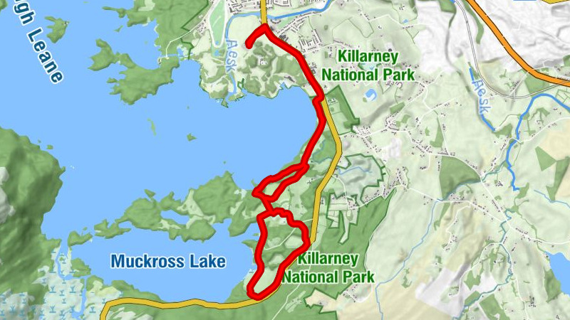Killarney - Park View - Woodland Play Area