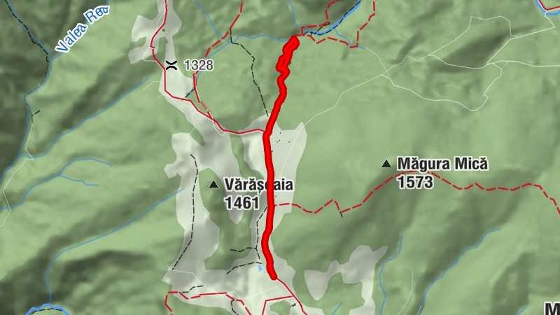 Budureasa - Peștera Cetatea Rădesei