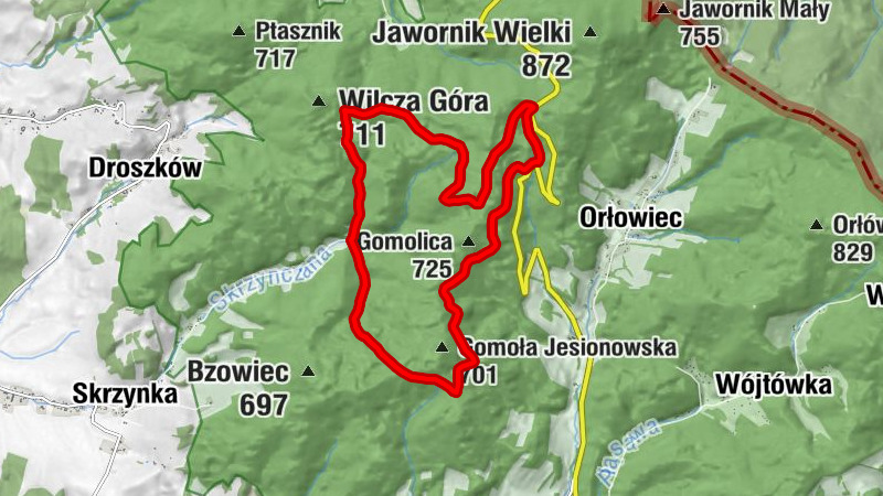 Przełęcz Jaworowa - Przełęcz pod Bzowcem - Gołogóra