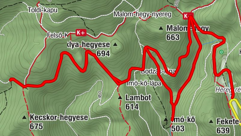 Lénárt-forrás - Borz kút - Bodzás-lápa - Felső-barlang
