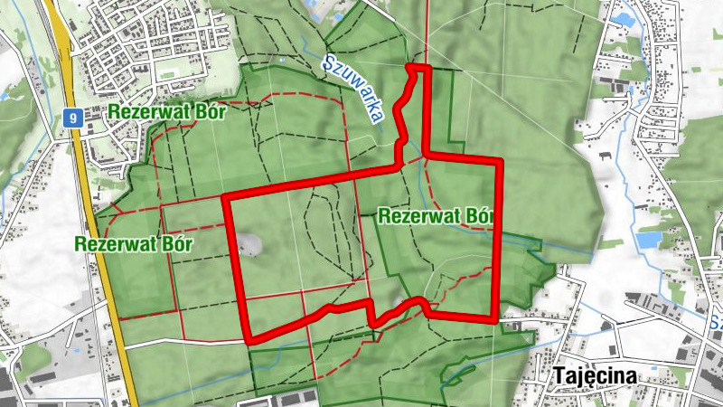 Głogów Małopolski - Wyschnięte oczko wodne