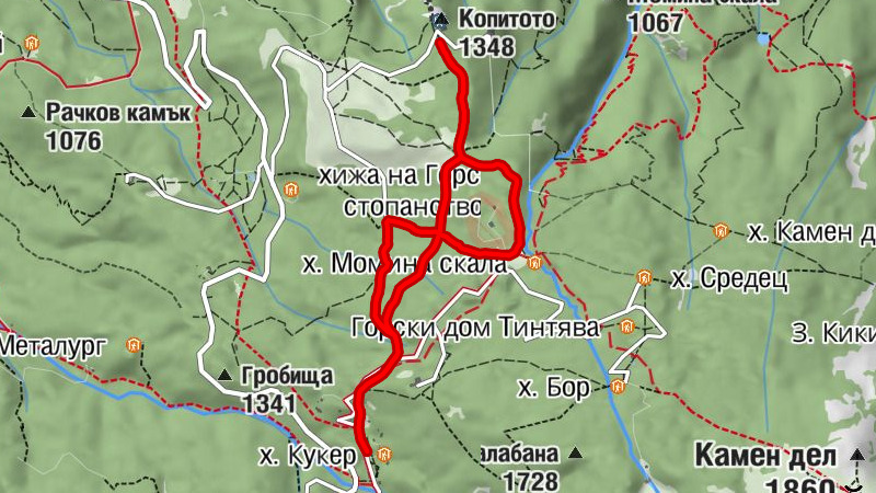 х. Планинец - Момина скала