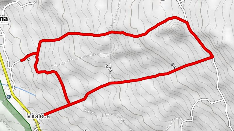 05. Candelaria (5.Juli)