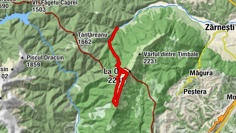 Circuit Plaiil Foii-Șpirlea-Lanțuri- Creasta Sudica- Valea Urzicii- Cerdacul Stanciului-Plaiul Foii