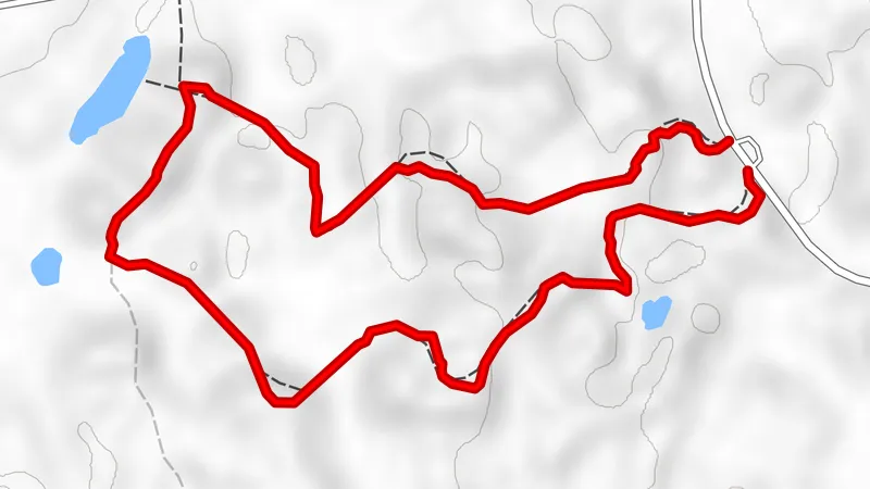 Honkakangas Waldweg