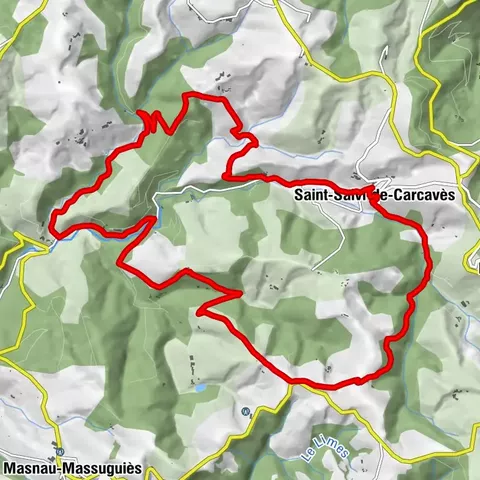 Saint-Salvi-de-Carcavès