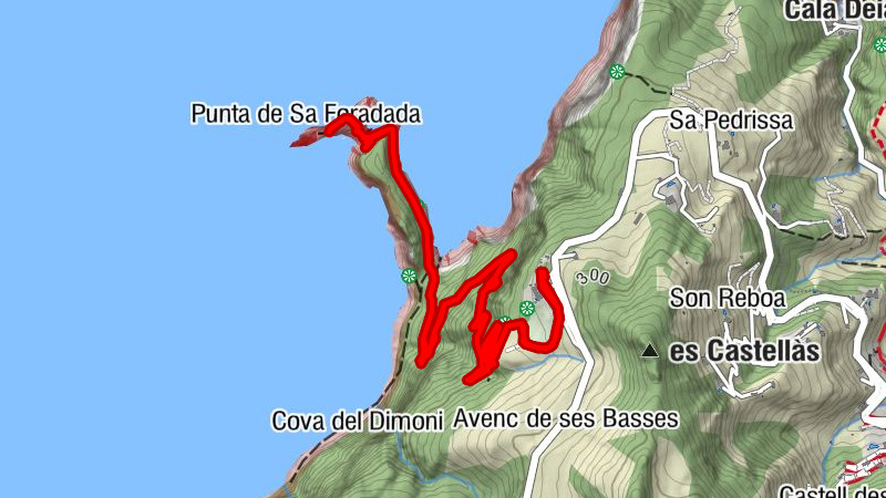 Punta de Sa Foradada