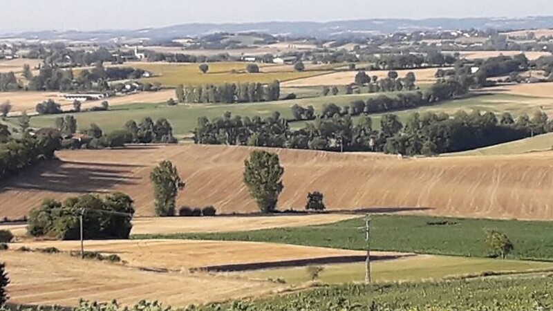 Karte