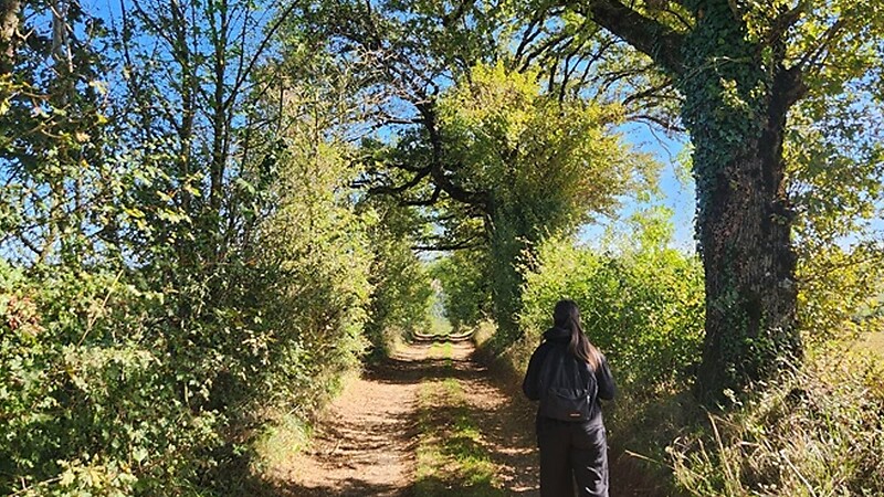 Karte